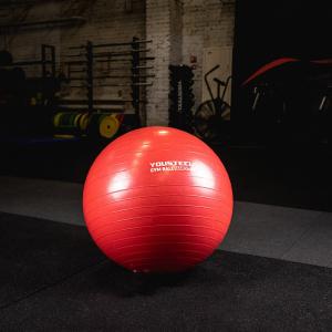 Купить Гимнастический мяч Yousteel Hard 55см в Егорьевске 