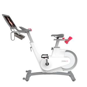 Купить Велотренажер Yesoul BV1-W PLUS в Егорьевске 